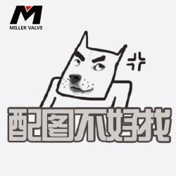 进口恒温阀控制器
