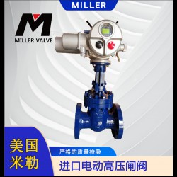 进口电动高压闸阀