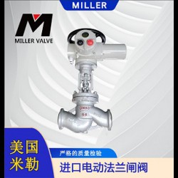 进口电动法兰闸阀