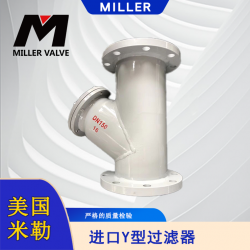 进口Y型过滤器