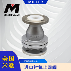 进口衬氟止回阀
