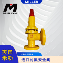 进口衬氟安全阀