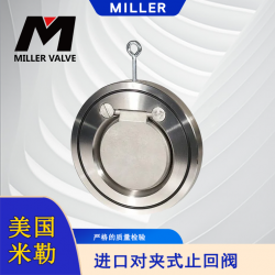 进口对夹式止回阀