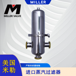 进口蒸汽过滤器