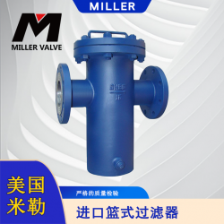 进口篮式过滤器