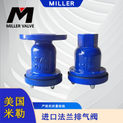 进口法兰排气阀