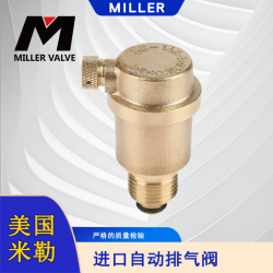 进口自动排气阀