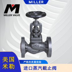 进口蒸汽截止阀