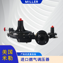进口燃气调压器