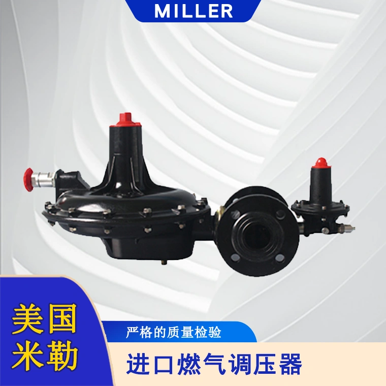 进口燃气调压器